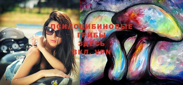 герыч Пестово