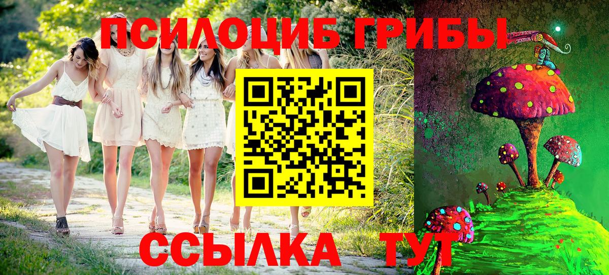 Псилоцибиновые грибы Cubensis Бахчисарай